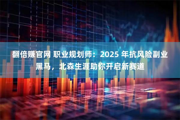 翻倍赚官网 职业规划师:2025 年抗风险副业黑马,北森生涯助你开启新赛道