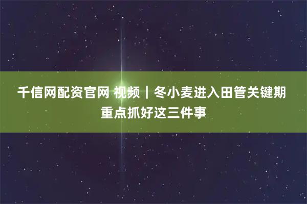 千信网配资官网 视频｜冬小麦进入田管关键期 重点抓好这三件事