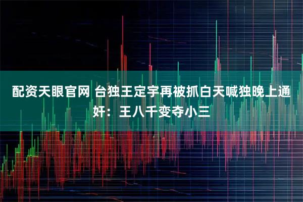 配资天眼官网 台独王定宇再被抓白天喊独晚上通奸：王八千变夺小三
