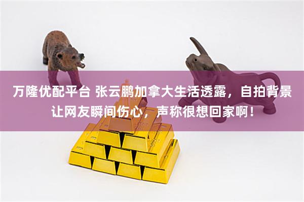 万隆优配平台 张云鹏加拿大生活透露，自拍背景让网友瞬间伤心，声称很想回家啊！