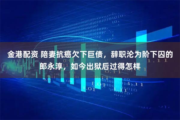金港配资 陪妻抗癌欠下巨债，辞职沦为阶下囚的郎永淳，如今出狱后过得怎样